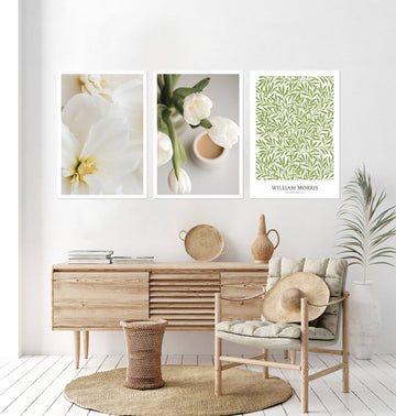 Serene White Elegance Wall Art Combo